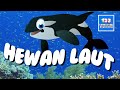 Nama Nama Hewan Laut 🐳 Bahasa Indonesia 🇮🇩 Nama Hewan 🐠 Hewan Laut 🐋🦈 123 Lagu Anak Indonesia