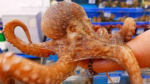 Che pesce è il Cagnoletto?