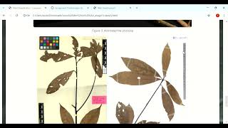 Famous COS10005 WEB DEVELOPMENT ASSIGNMENT 1 DEMOSTRATION (Louis Min Jin LAU) Net Worth