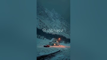 الشيخ ماهر المعيقلي (سورة الإخلاص) #قرآن #اكسبلور #المصحف #راحة_نفسية #لايك