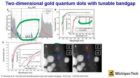 Emerging Applications of Boron Nitride Nanotubes for Advanced Electronics and Bio imaging