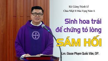 Giảng Lễ Chúa Nhật 2 Mùa Vọng năm A - Lm. Giuse Phạm Quốc Văn, OP.