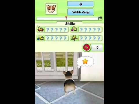 Nintendo DS ► Petz ► Dogz Talent Show