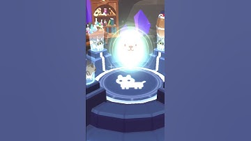 lần đầu ghép pet trong play together 🐈‍⬛