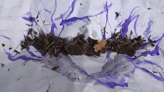 Fit In Slip Out Dress Undress Dance