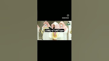 ايه(١٦٨)سورة البقرة*من فضلك تابع الصفحة* #قرآن #ماهر_المعيقلي #ياسر_الدوسري #تلاوات #مكة #السديس