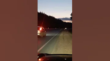 Осторожно! Лоси выходят на дорогу.