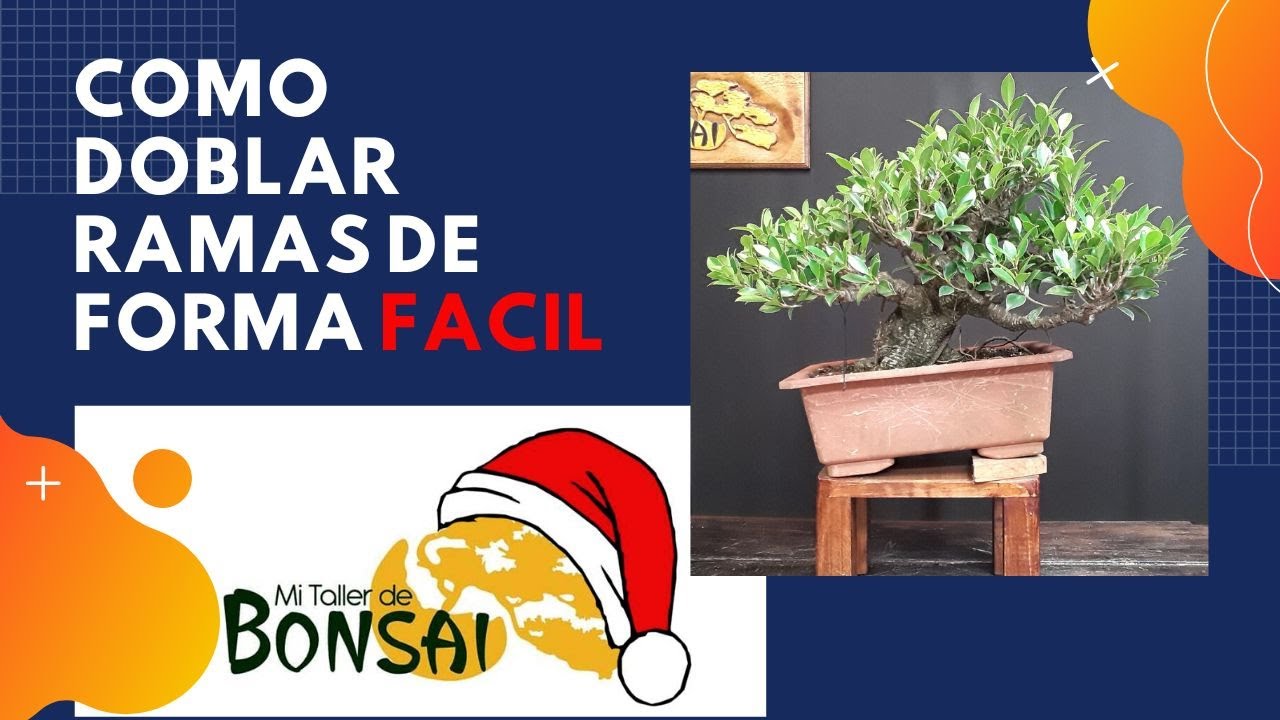 COMO doblar ramas de manera FACIL