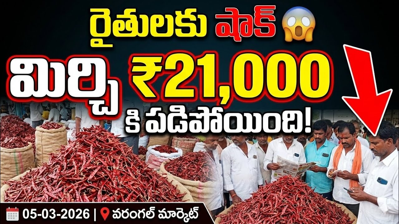 వరంగల్ మిర్చి ధర షాక్ 😱 | ₹21,000 కి పడిపోయిన రేటు | March 5, 2026 Live