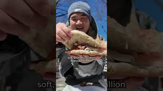 I used $20 to make a BBQ Pork Scallion Pancake Sandwich in NYC!