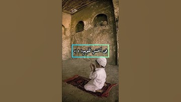 سورة التين _القران الكريم