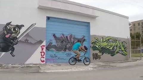 4 BMX Skills to Learn First