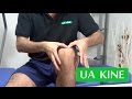 Tendinitis Rotuliana - Auto masaje Tratamiento