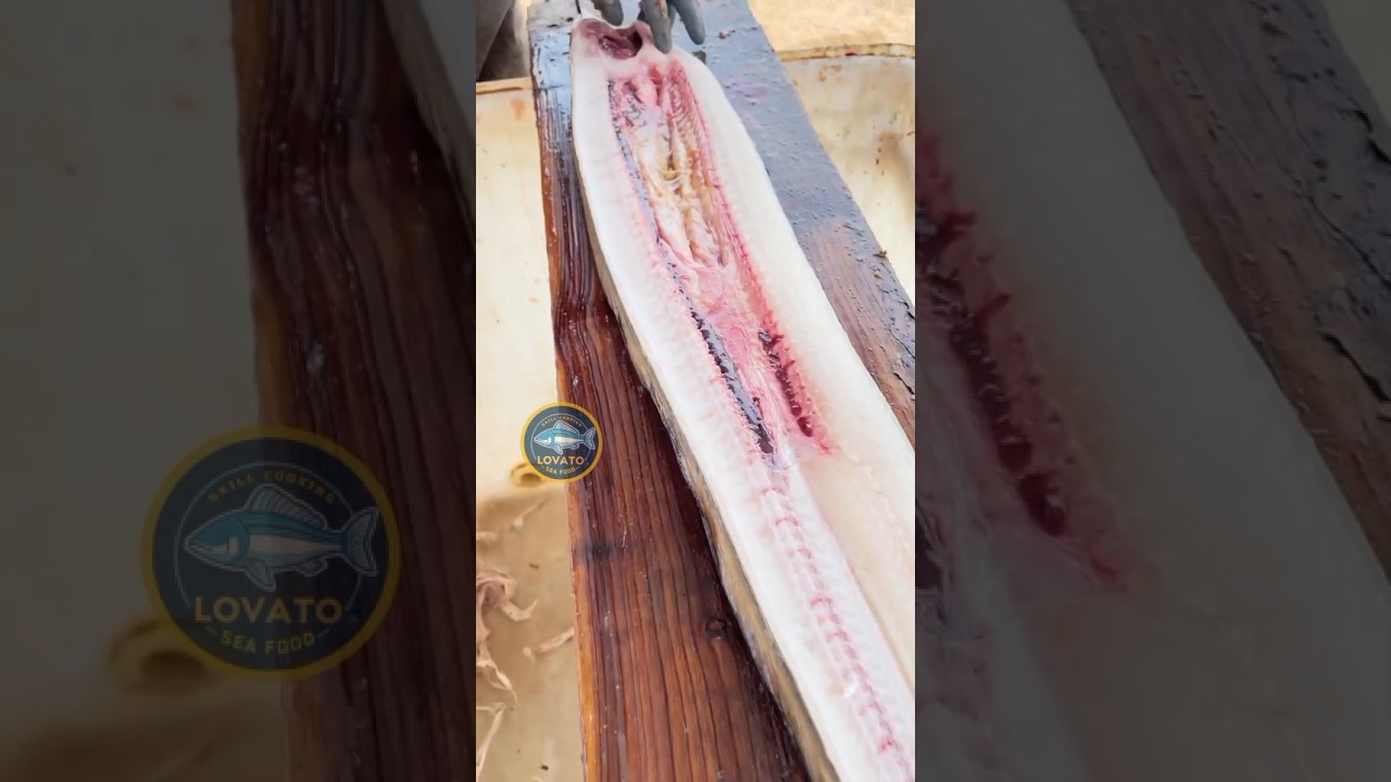 Awesome conger eel cutting skills! #foryou #fish #fishfillet #skills