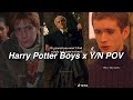 Harry Potter Boys x Y/N TikTok POVs