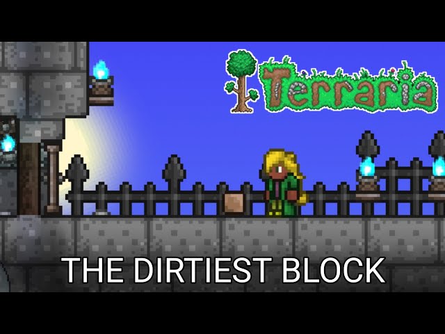 r/Terraria 🌳 on X: Nice (the dirtiest block)    / X