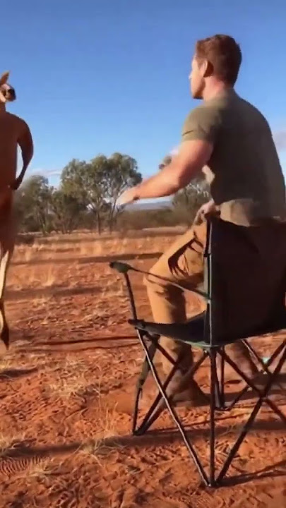 Roo vs Man 🤣 #funny #fail #kangaroo #viral