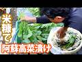 阿蘇高菜漬け🥬米ぬかで本漬けから古漬けの方法