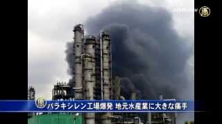 パラキシレン工場爆発 地元水産業に大きな痛手 20150413