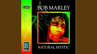 Chances Are Net Worth