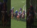 ETHICAL DIAMOND Shocks in the Breeders' Cup Turf!