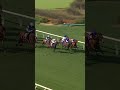 ETHICAL DIAMOND Shocks in the Breeders' Cup Turf!