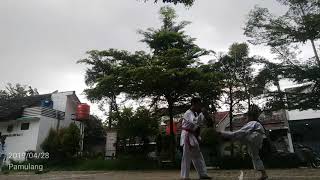 Mars Taekwondo Indonesia, Vinus