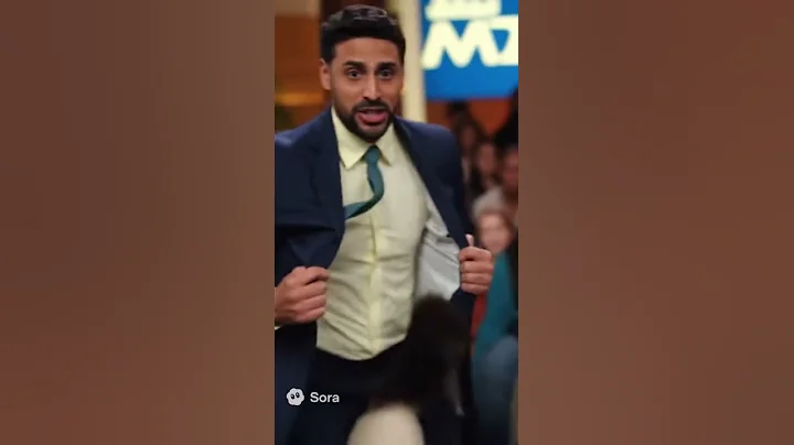 Video 11565141: birman cat, cat living