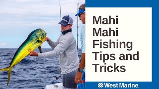 Tips for Mahi Mahi Fishing Presented by Into the Blue