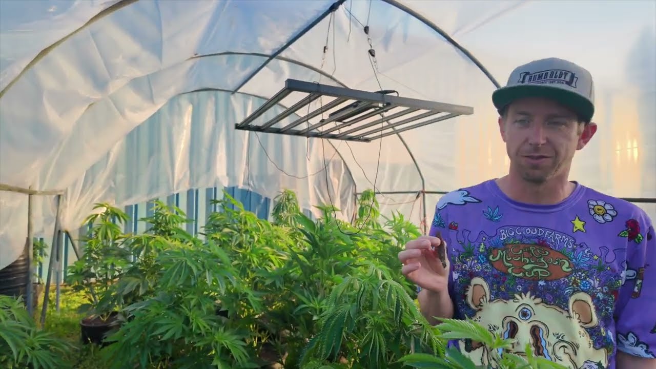 “Battle Of The Trees” Ep.2 (Worlds Biggest Plant Contest)