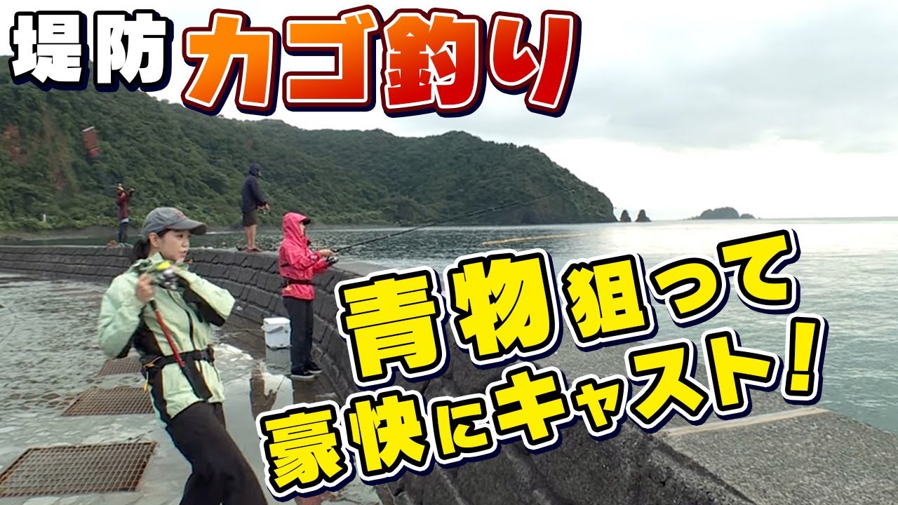 GO!GO!九ちゃんフィッシング #496　「回遊シーズン到来！堤防から青物のカゴ釣り　高級シマアジ　元気なサバ」