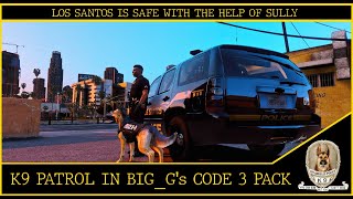 K9 Patrol In Big_G's Code 3 Pack | Officer Sully On The Beat | GTA V | LSPDFR Profile