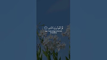 سورة الناس | هزاع البلوشي