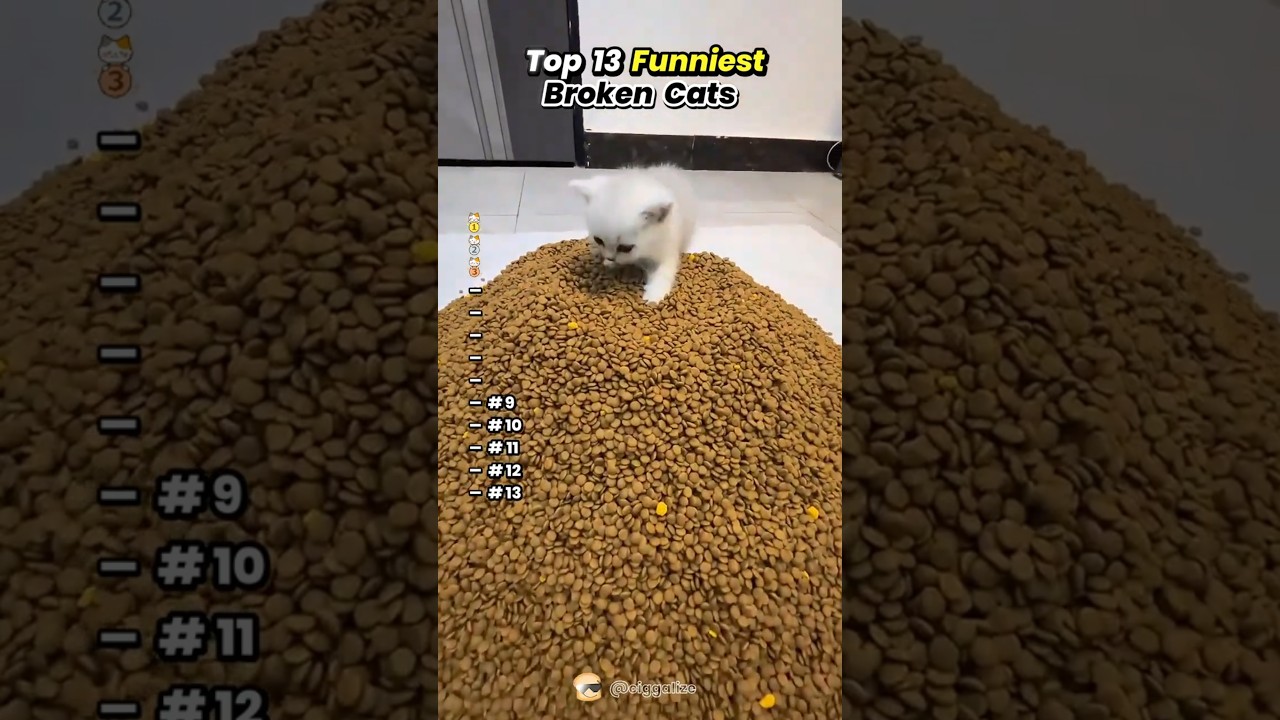 Original Title & Thumbnail