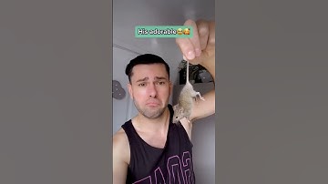 Thumbnail of I Found a RAT in My Bed 😰🐀