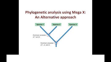 Phylogenetic analysis using Mega X: An alternative approach