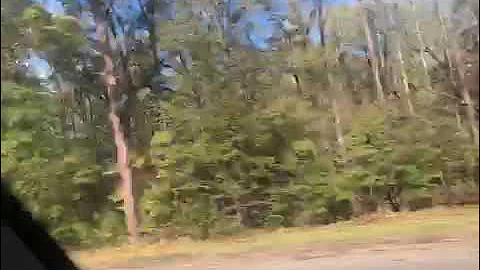 :D78604623486  06D6CA07 7FBE 408B 9DA6 3B3D5853EDFD