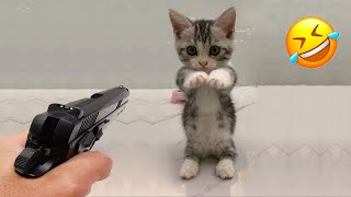 5 Hour of The Best Cat & Dog Videos 😂 Funny Videos Compilation PART 9