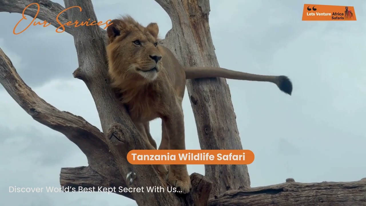 East Africa trips made simple!