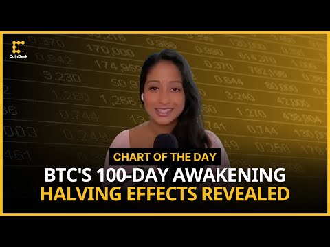 100 Days After the Bitcoin Halving, What