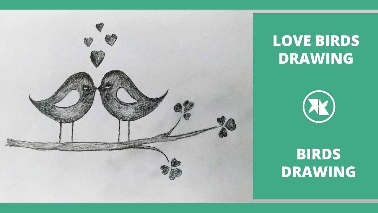 How To Draw A Love Birds For Kids How To Draw Two Birds In Love By Pencil How To Draw Birds Easy Youtube We're going to split the large wing up into two sections. how to draw a love birds for kids how to draw two birds in love by pencil how to draw birds easy