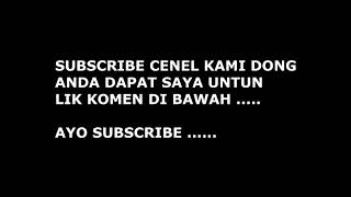 SUARA PIKAT SEMUA BURUNG DI JAMIN JOS 2019