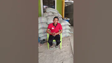Pembuatan Silase Yang Benar 