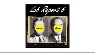 Marcus Giorza - PHYS 2212 Lab Report 5