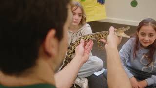 Book a School Incursion with Reptile Encounters to Amaze the Children
