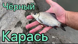 Карась на перекате август Рыбалка Южный Буг 2021