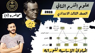 حصريا علوم الصف الثالث الاعدادي ٢٠٢٣ الترم التاني المبادئ الاساسيه للوراثه | مسائل درس الوراثه 🔥