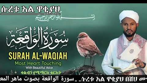 سورة الواقعة بصوت يريح قلبك الشيخ مصباح ساني  ሱረቱ ዋቂያህ