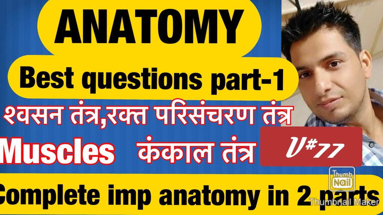 Best anatomy questions Part 1/ most important questions physical