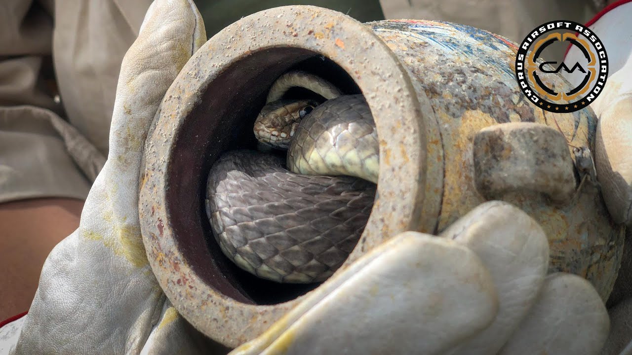 Cyprus Airsoft Association Snakes of Cyprus YouTube